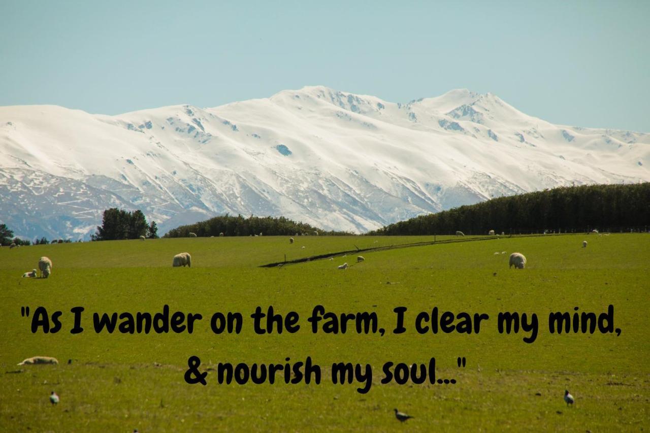 Shearvue Farmstay With Optional Free Farm Experience At 5Pm Fairlie Exteriör bild