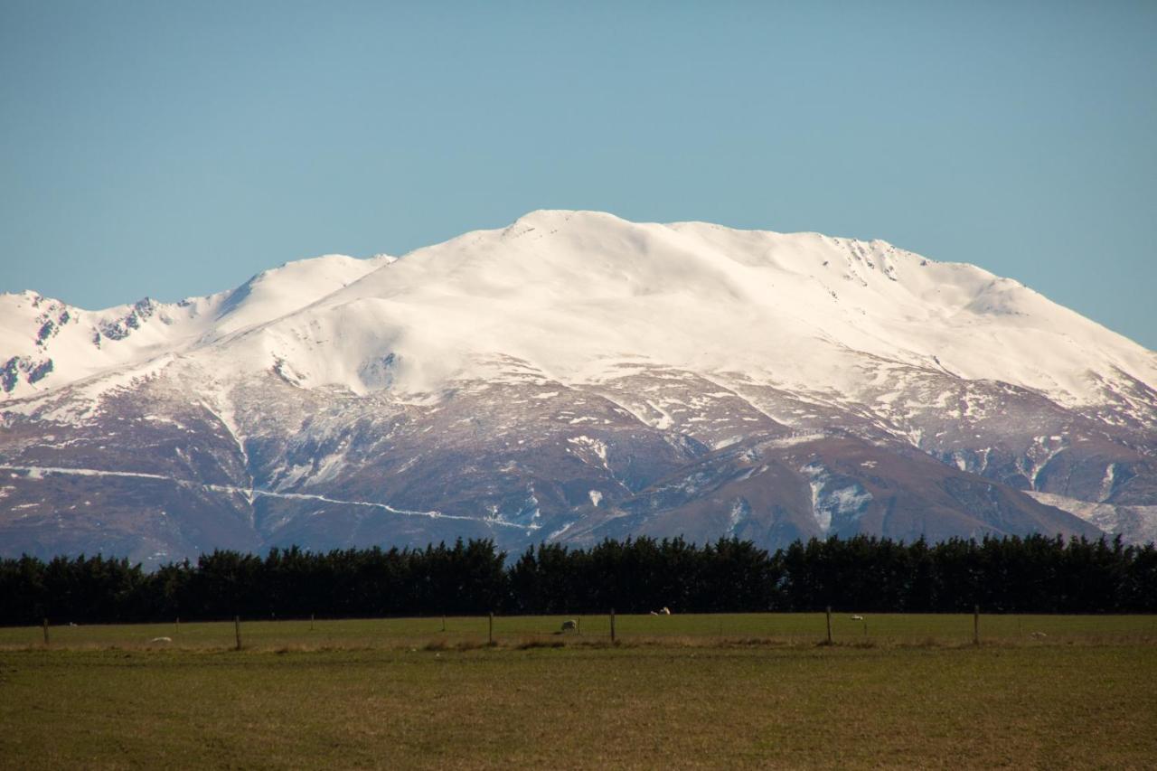 Shearvue Farmstay With Optional Free Farm Experience At 5Pm Fairlie Exteriör bild